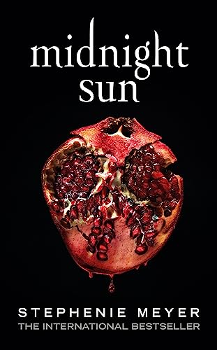 Midnight Sun - Image 4
