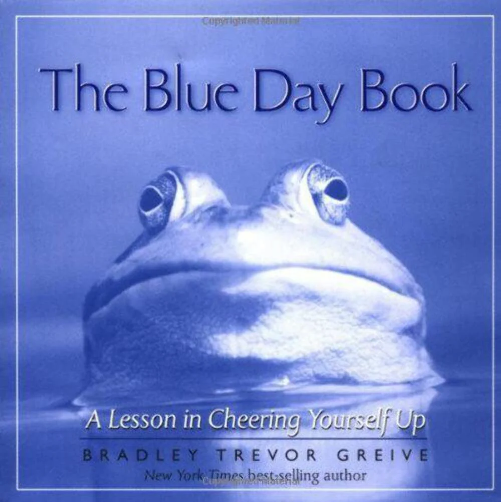 The Blue Day Book: A Lesson in Cheering Yourself Up - Image 2