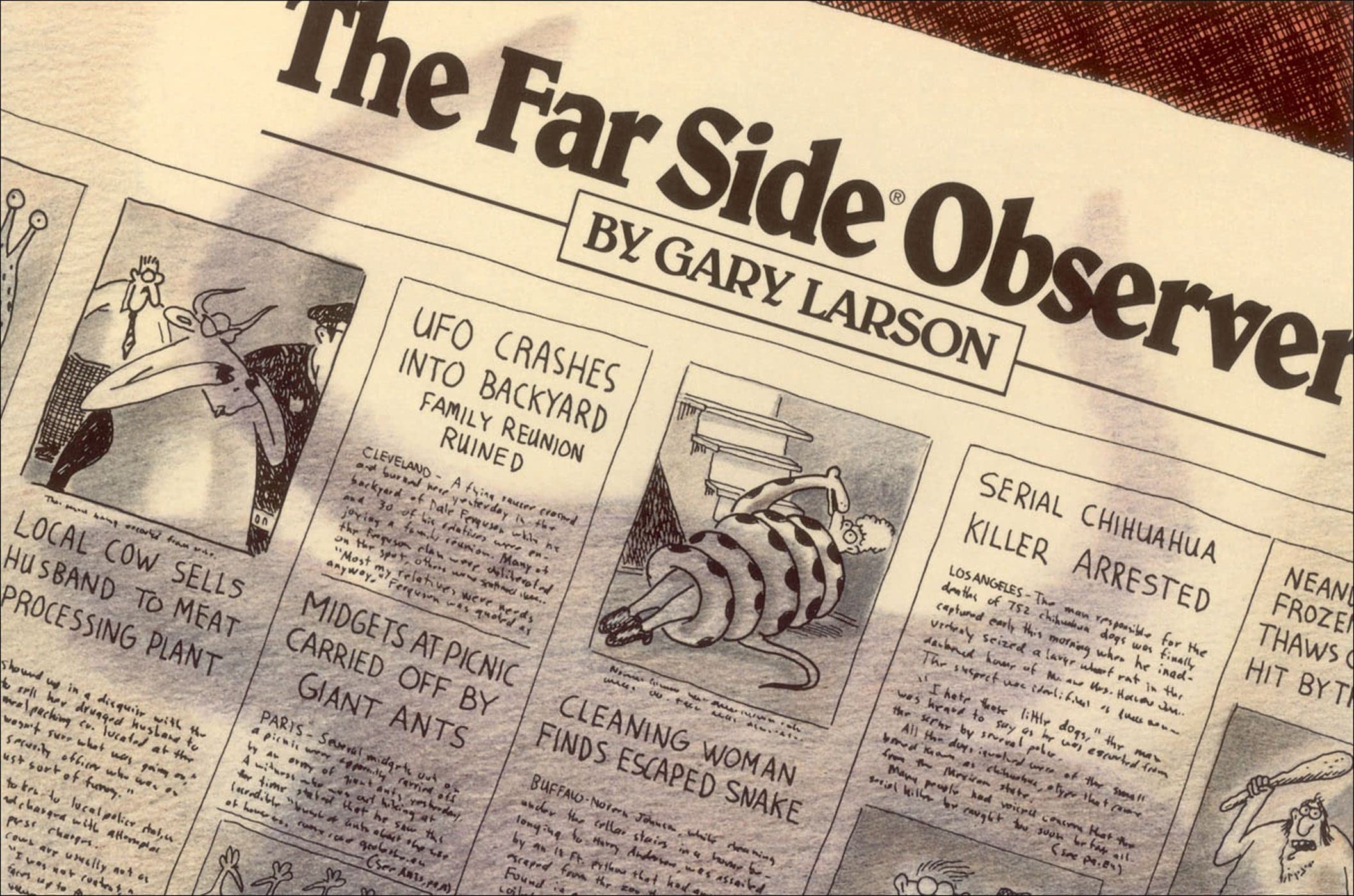 The Far Side® Observer - Image 4