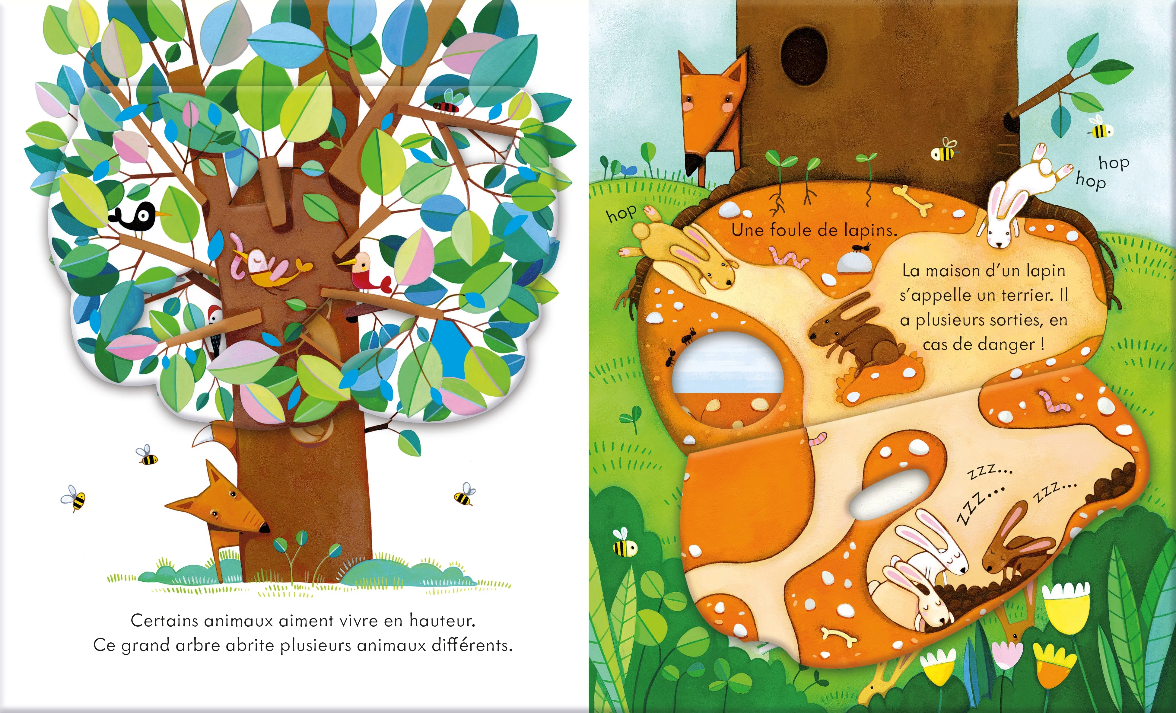 Les maisons des animaux - Coucou ! - dès 3 ans - Image 3