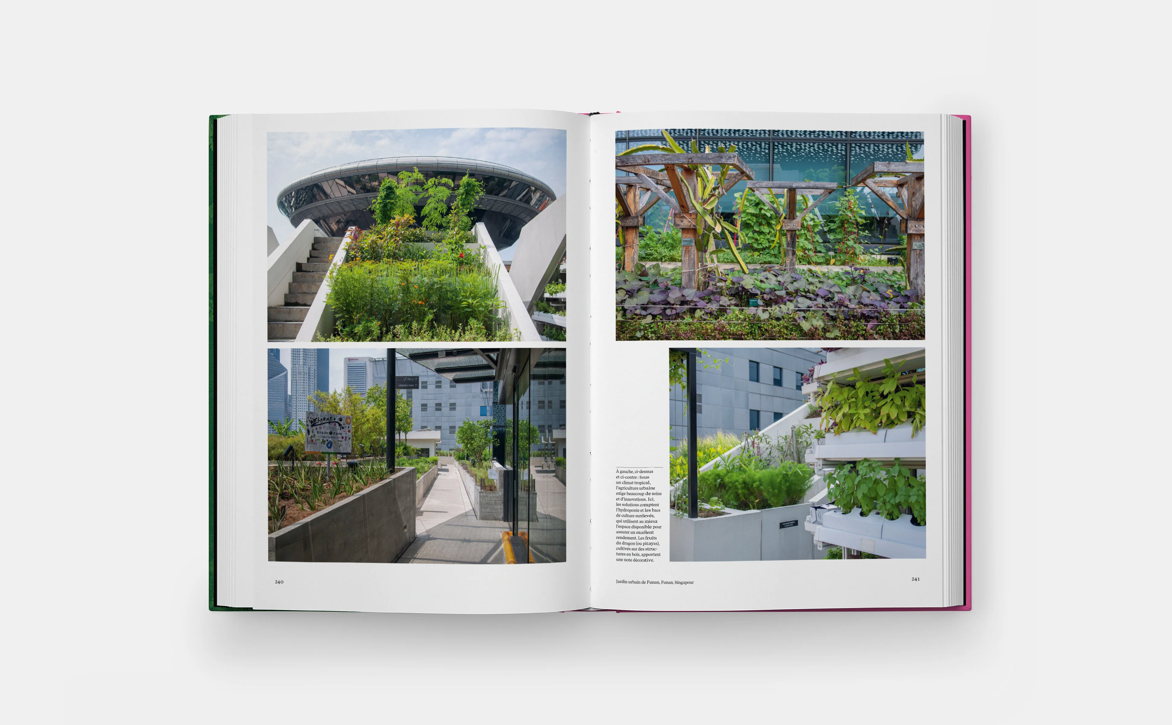 Jardins Potagers - Image 10