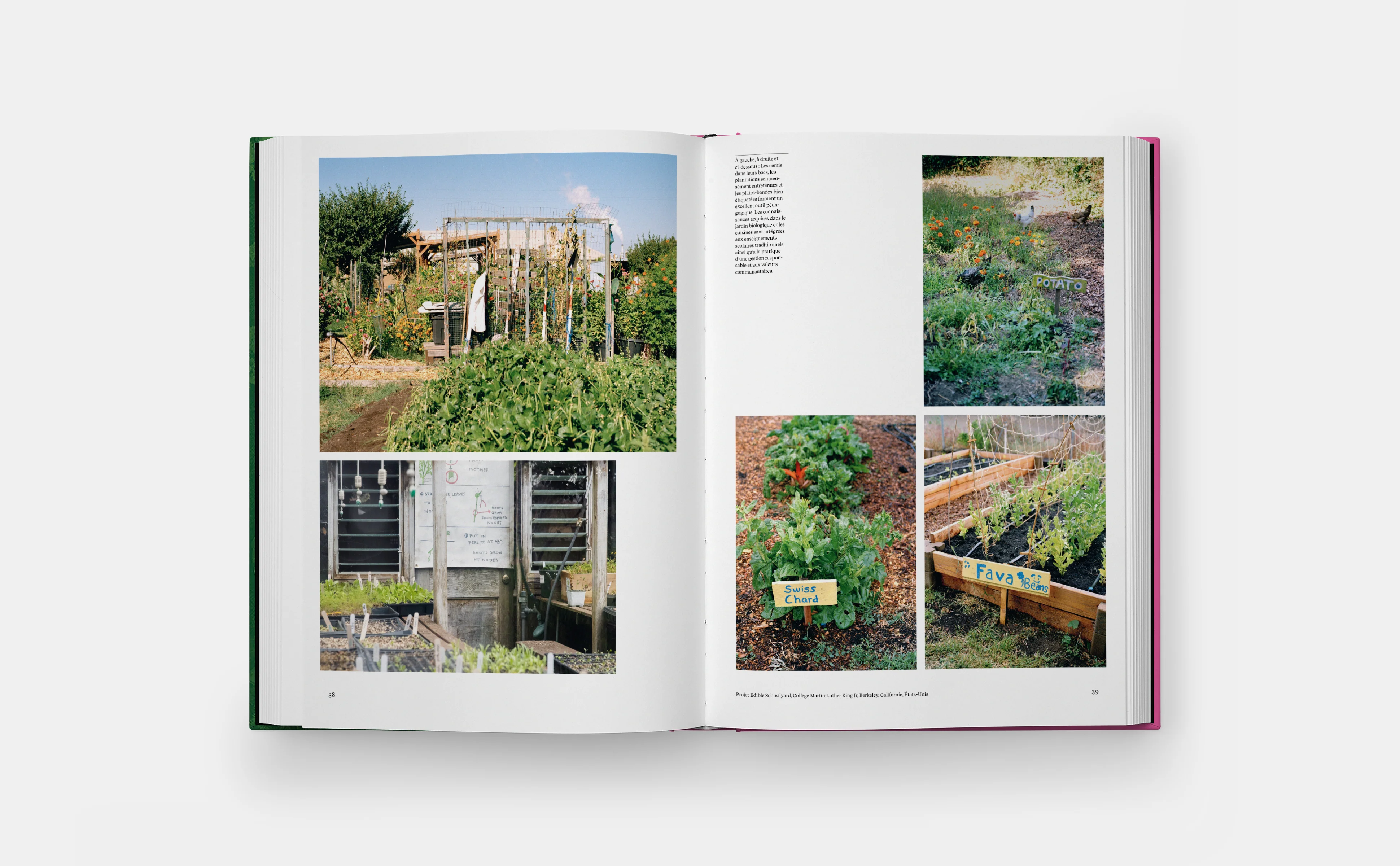 Jardins Potagers - Image 3