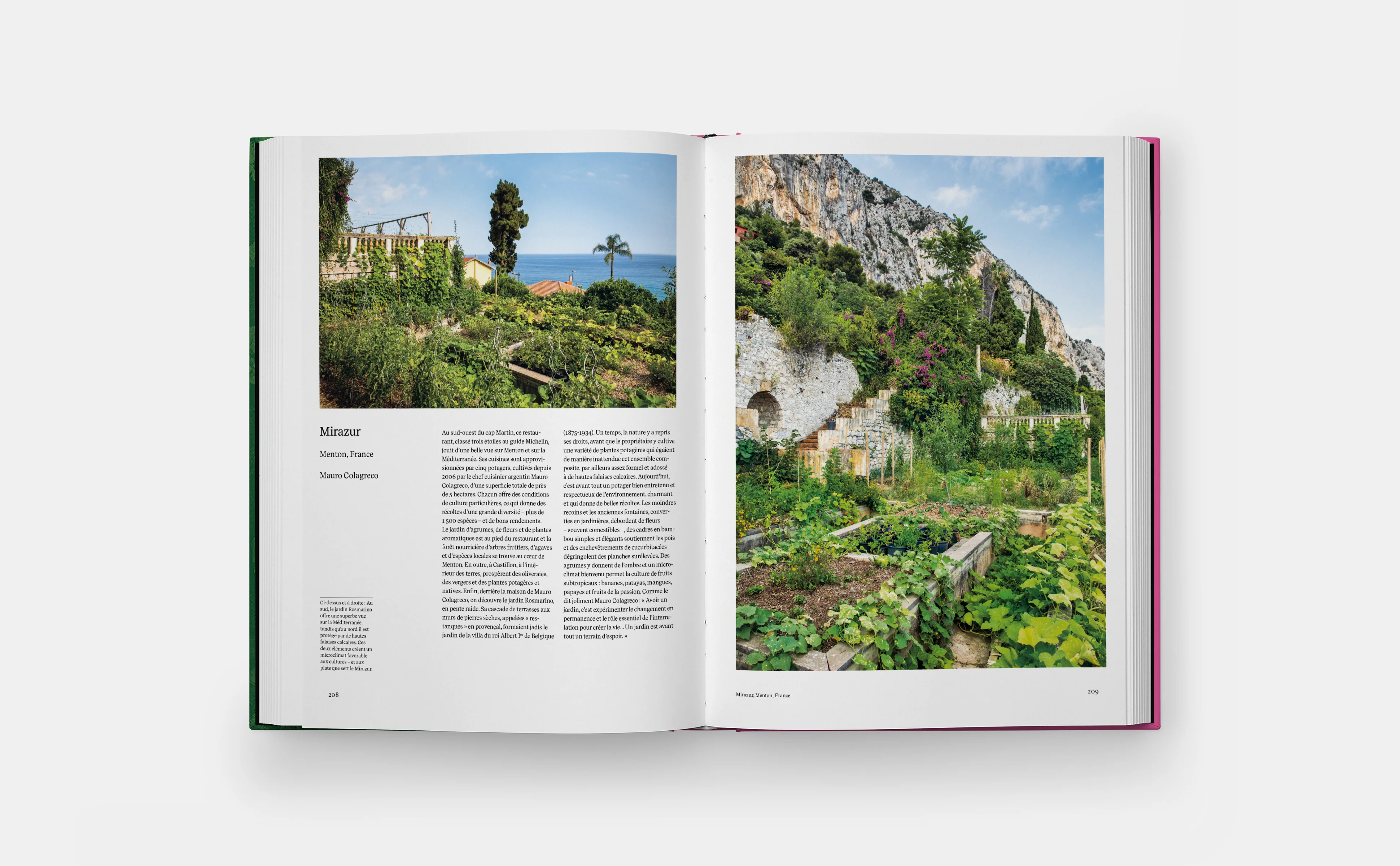 Jardins Potagers - Image 4