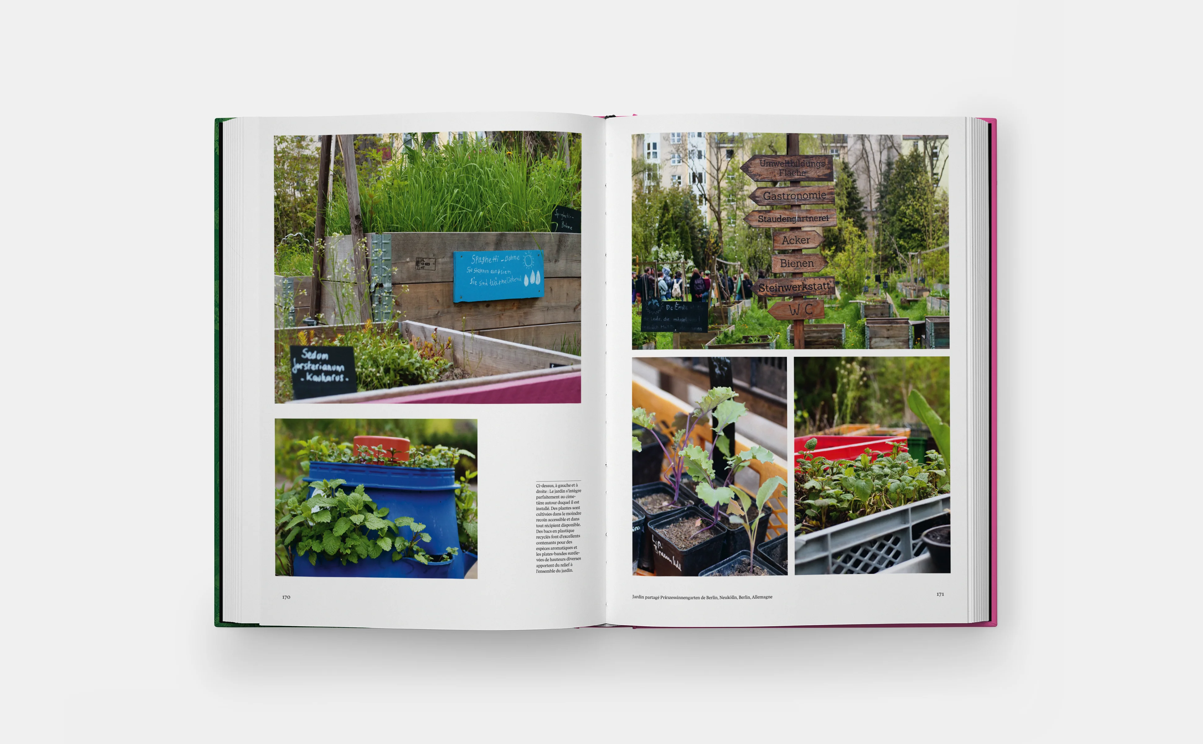 Jardins Potagers - Image 6