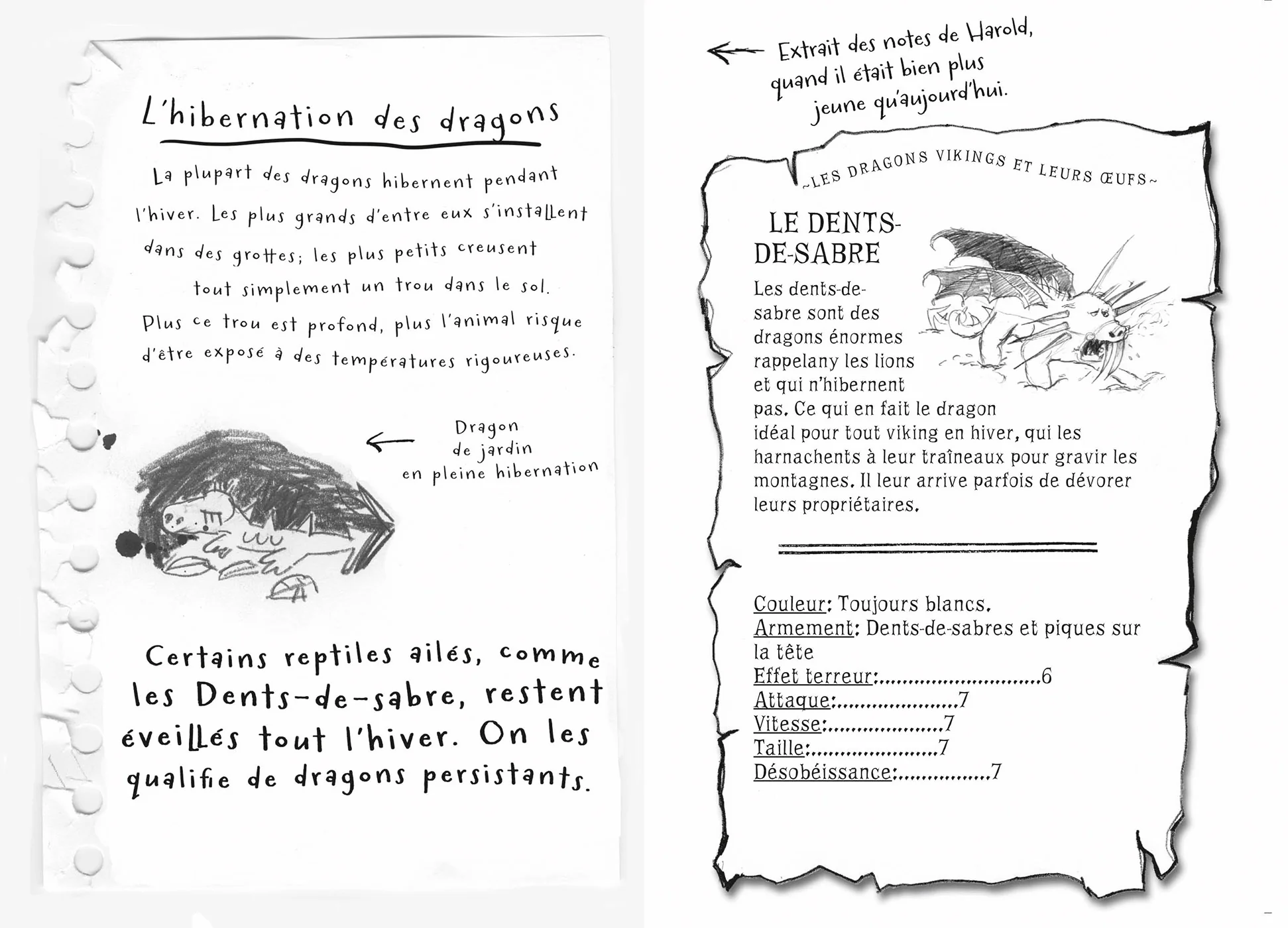 Harold et les dragons, Tome 04 - La quête de la patate congelée - Image 5