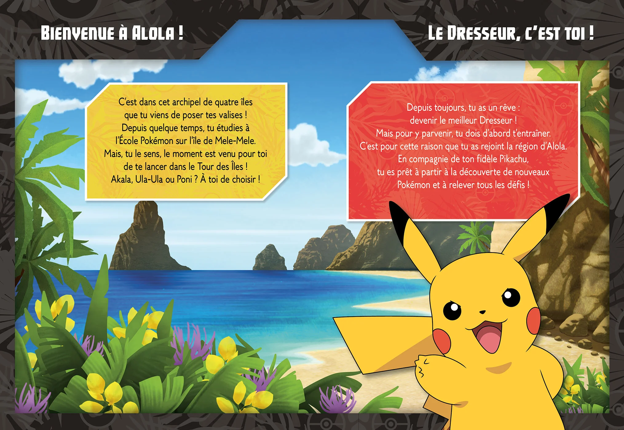 Pokémon - C'est toi le héros XXL - Nouvelle édition - Image 3
