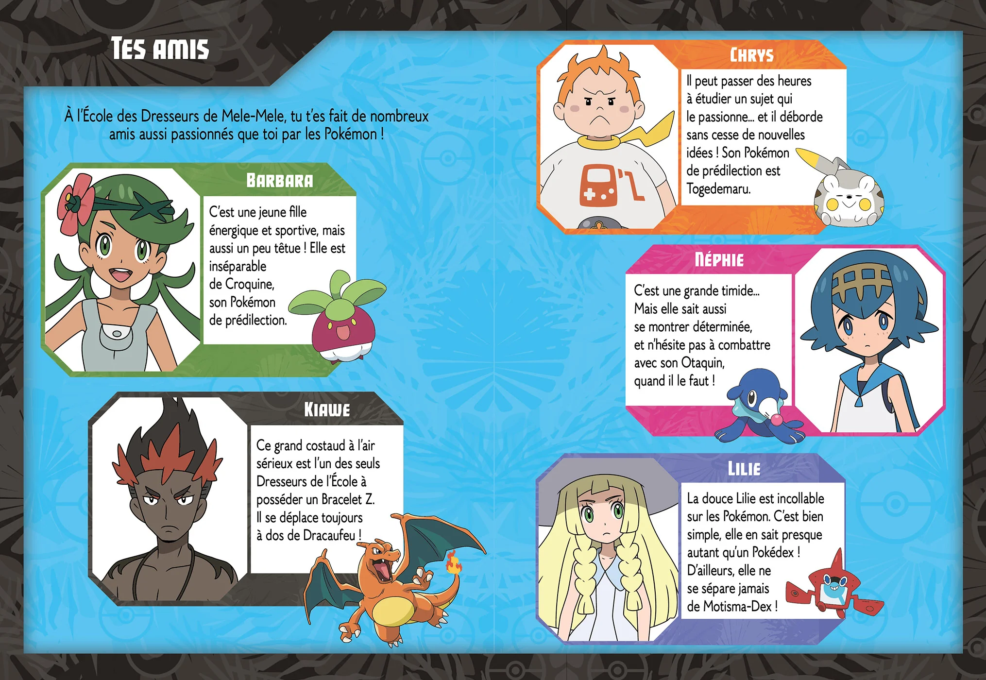 Pokémon - C'est toi le héros XXL - Nouvelle édition - Image 4