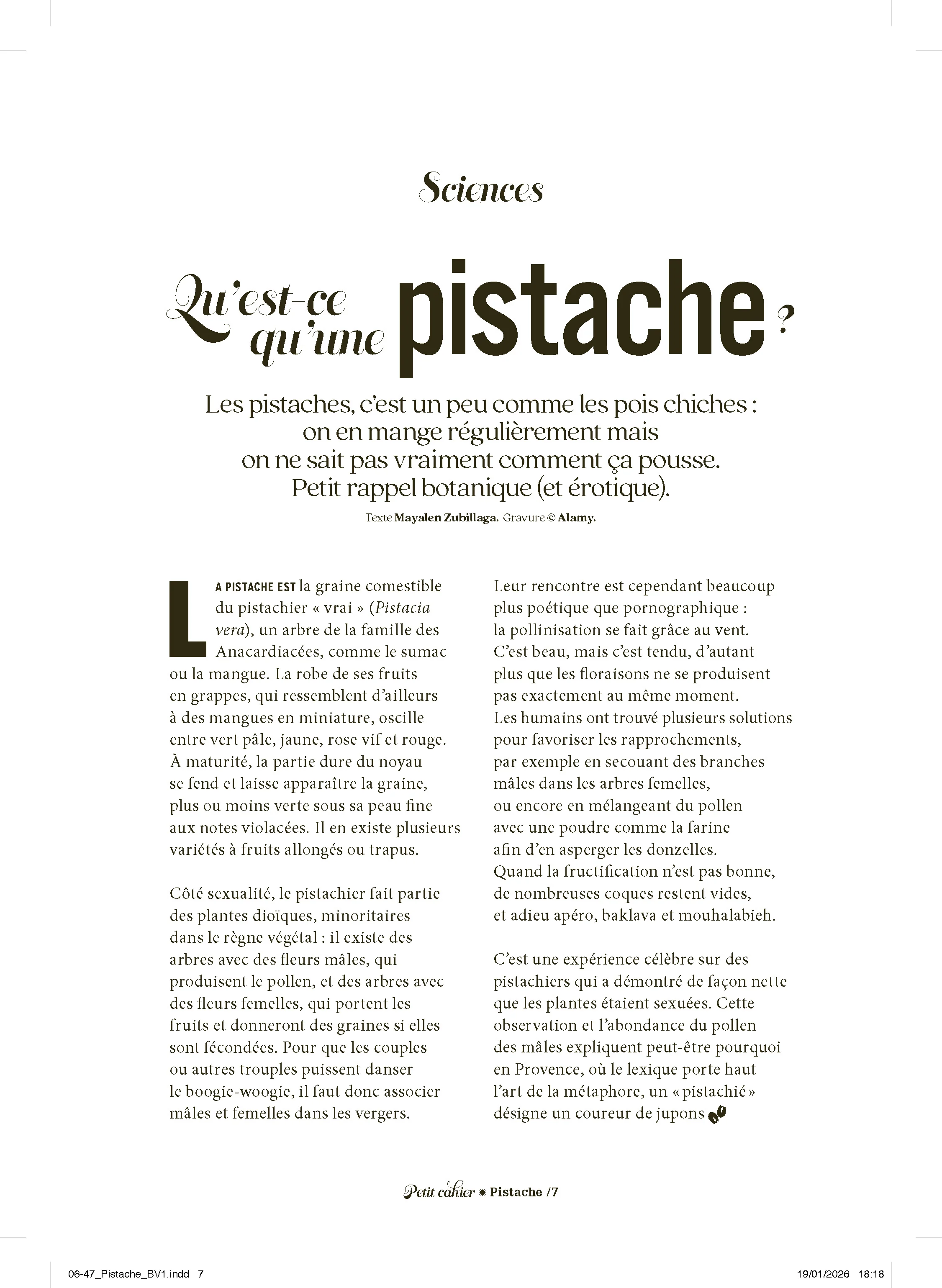 Les petits cahiers 180°C - Pistache - Image 4