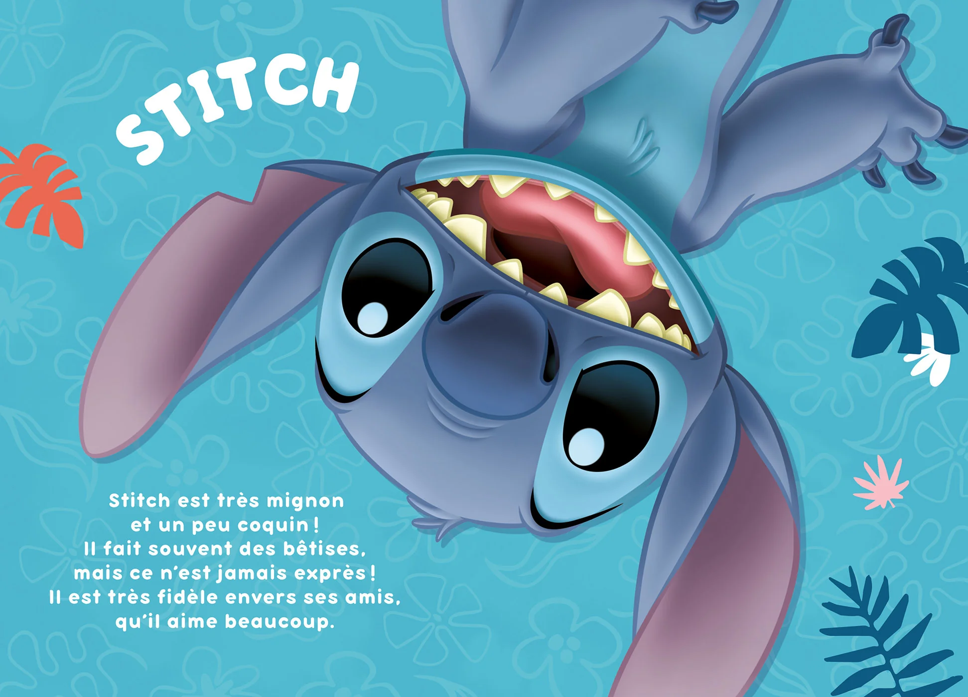 Mes premiers romans Stitch, Tome 06 - Un bébé pour Stitch - Image 3