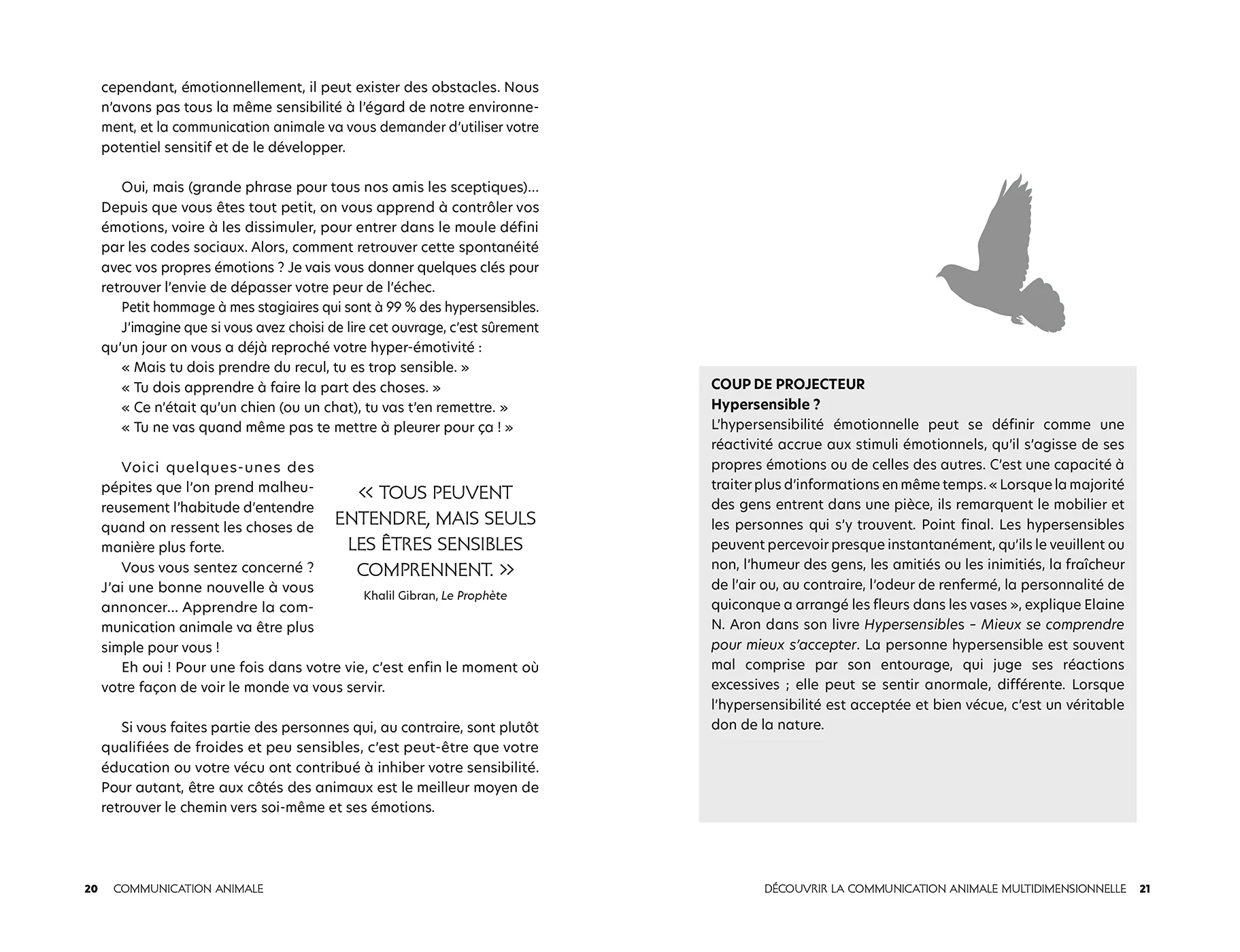 Communication animale - Image 14
