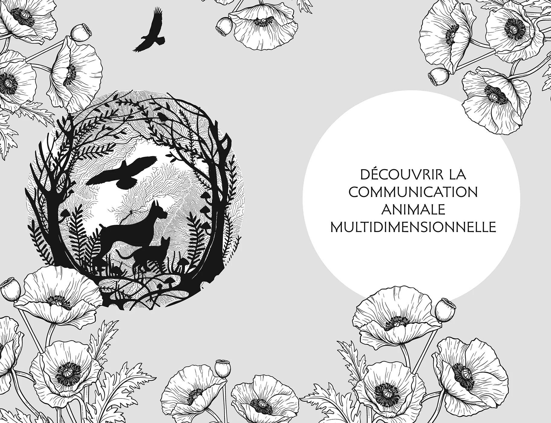 Communication animale - Image 3