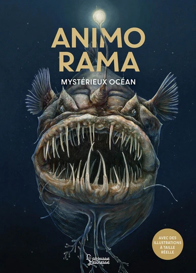 ANIMO RAMA Mystérieux Océan - Image 6