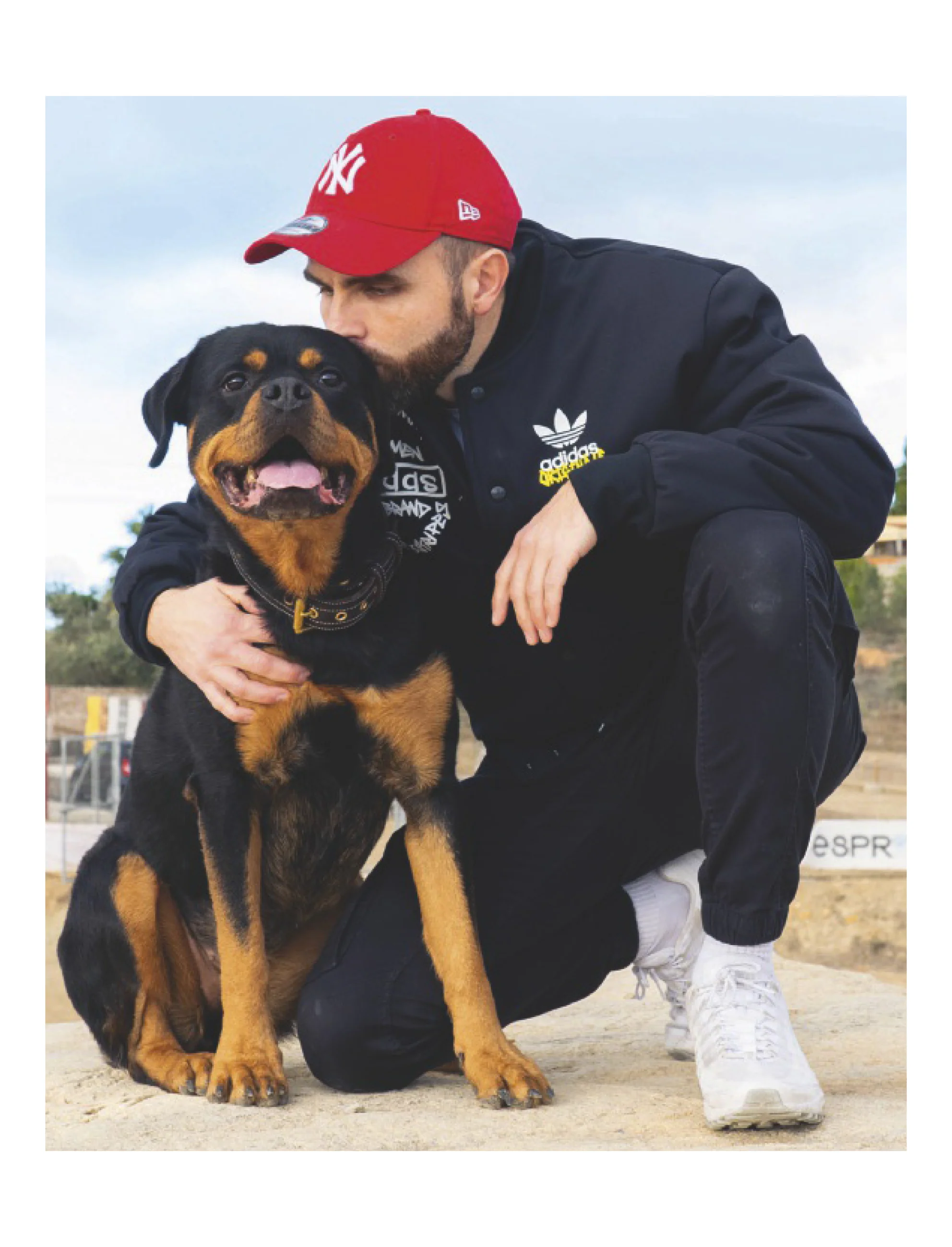 Le grand guide de l'éducation canine par Esprit Dog - Image 4