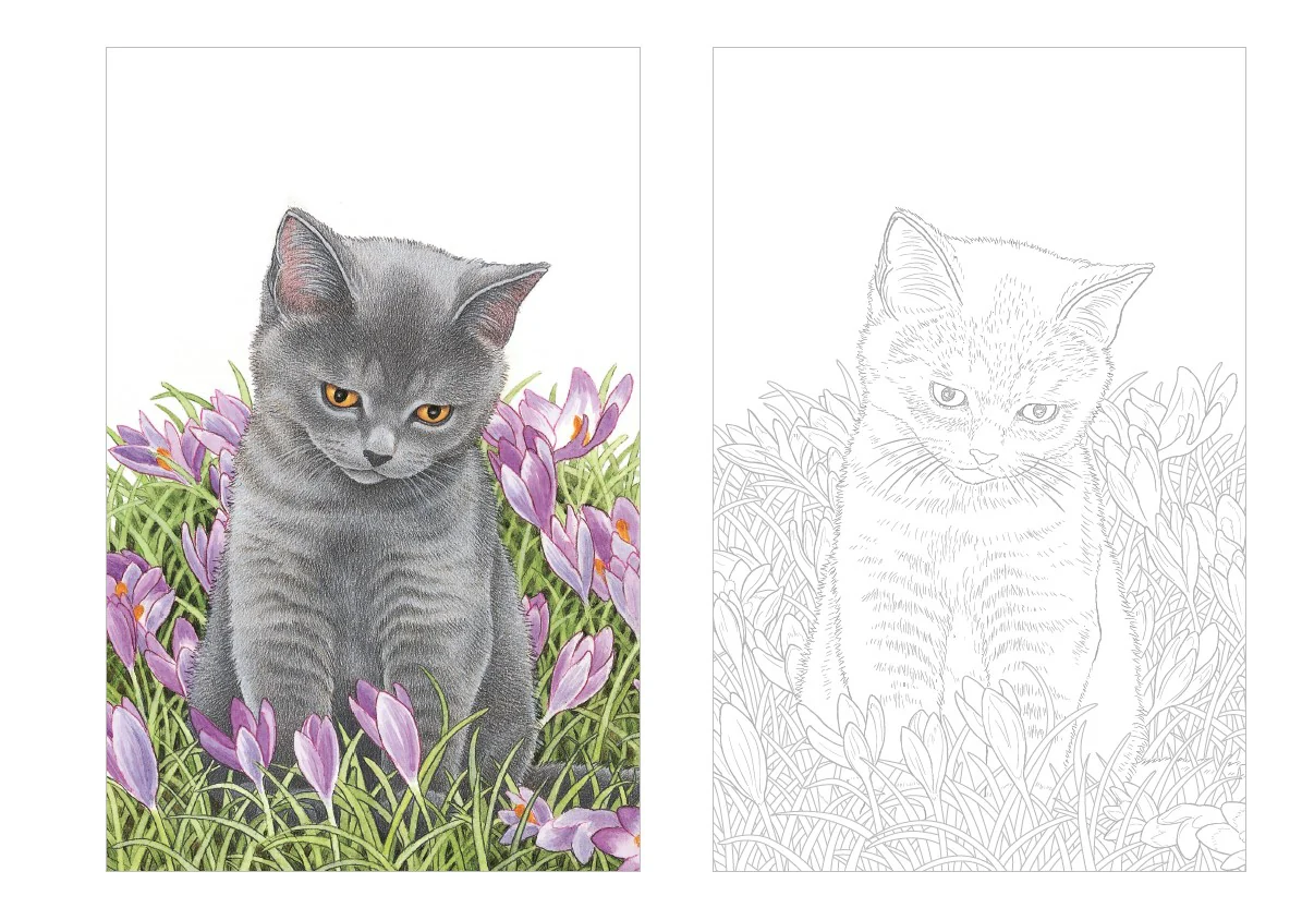 Cartes postales à colorier : Chats à croquer - Image 2