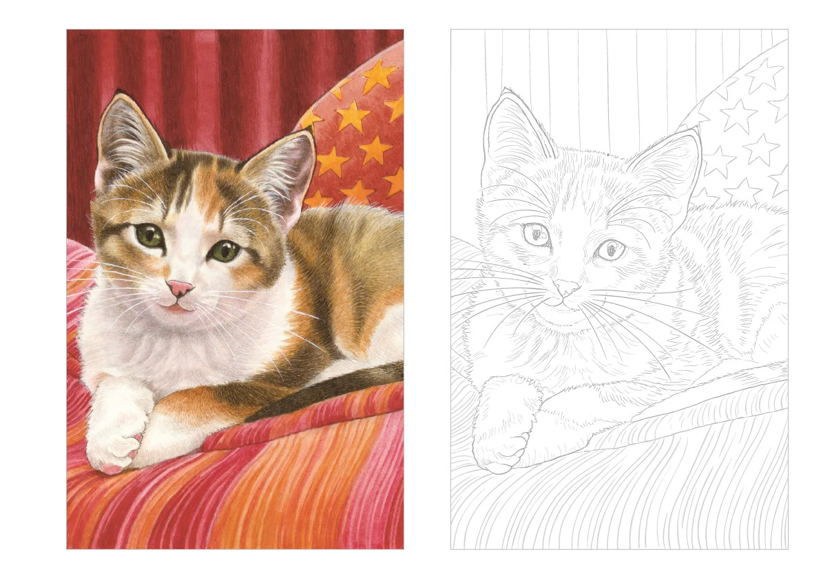 Cartes postales à colorier : Chats à croquer - Image 3