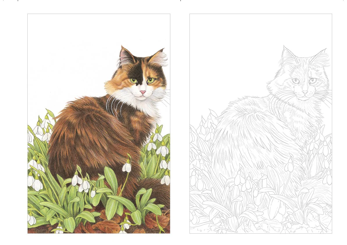 Cartes postales à colorier : Chats à croquer - Image 4