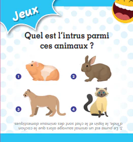 Apéro Quiz ludiques en famille - Image 2