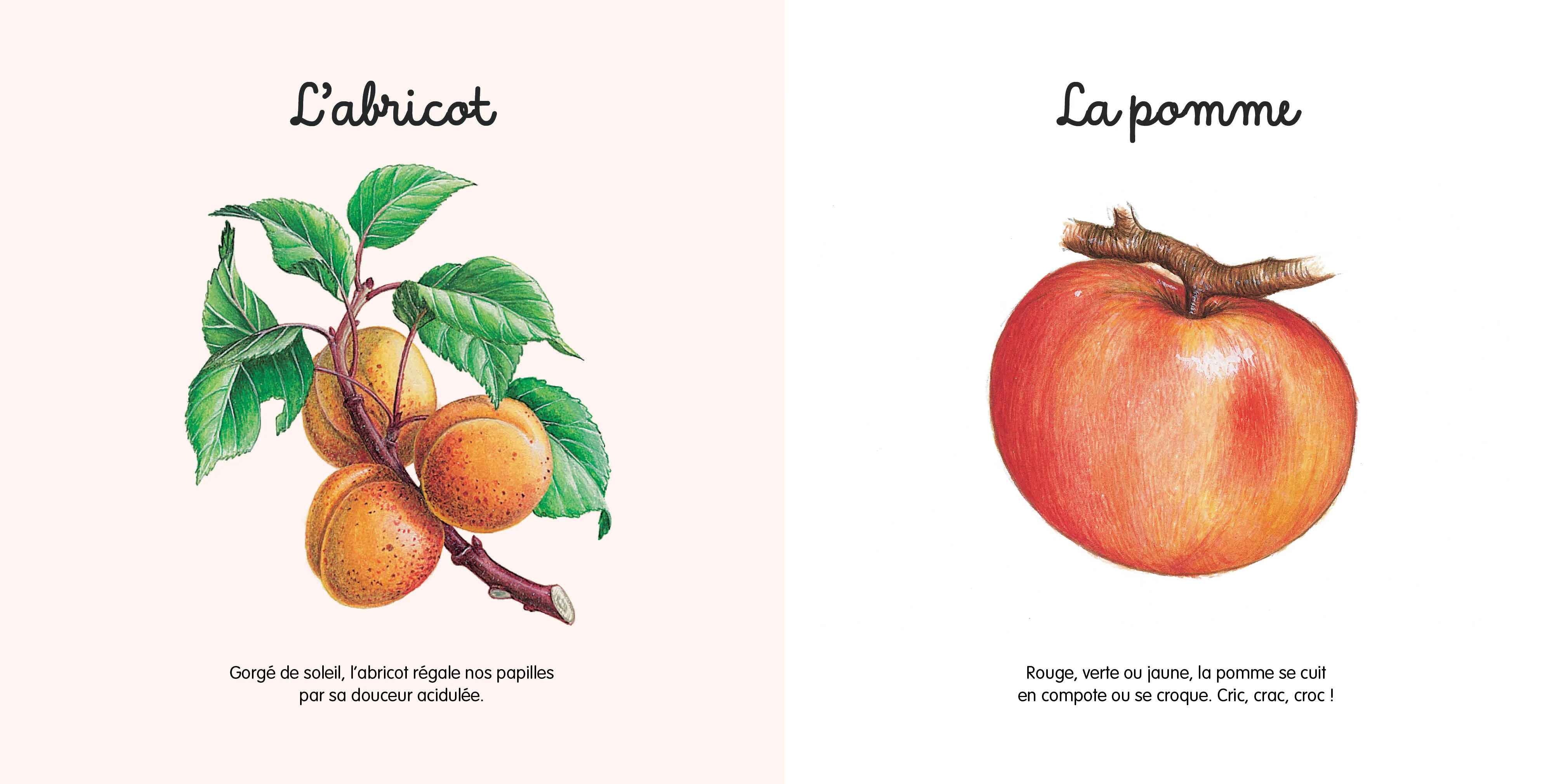 Mes jolis petits docs - Les fruits - Image 2