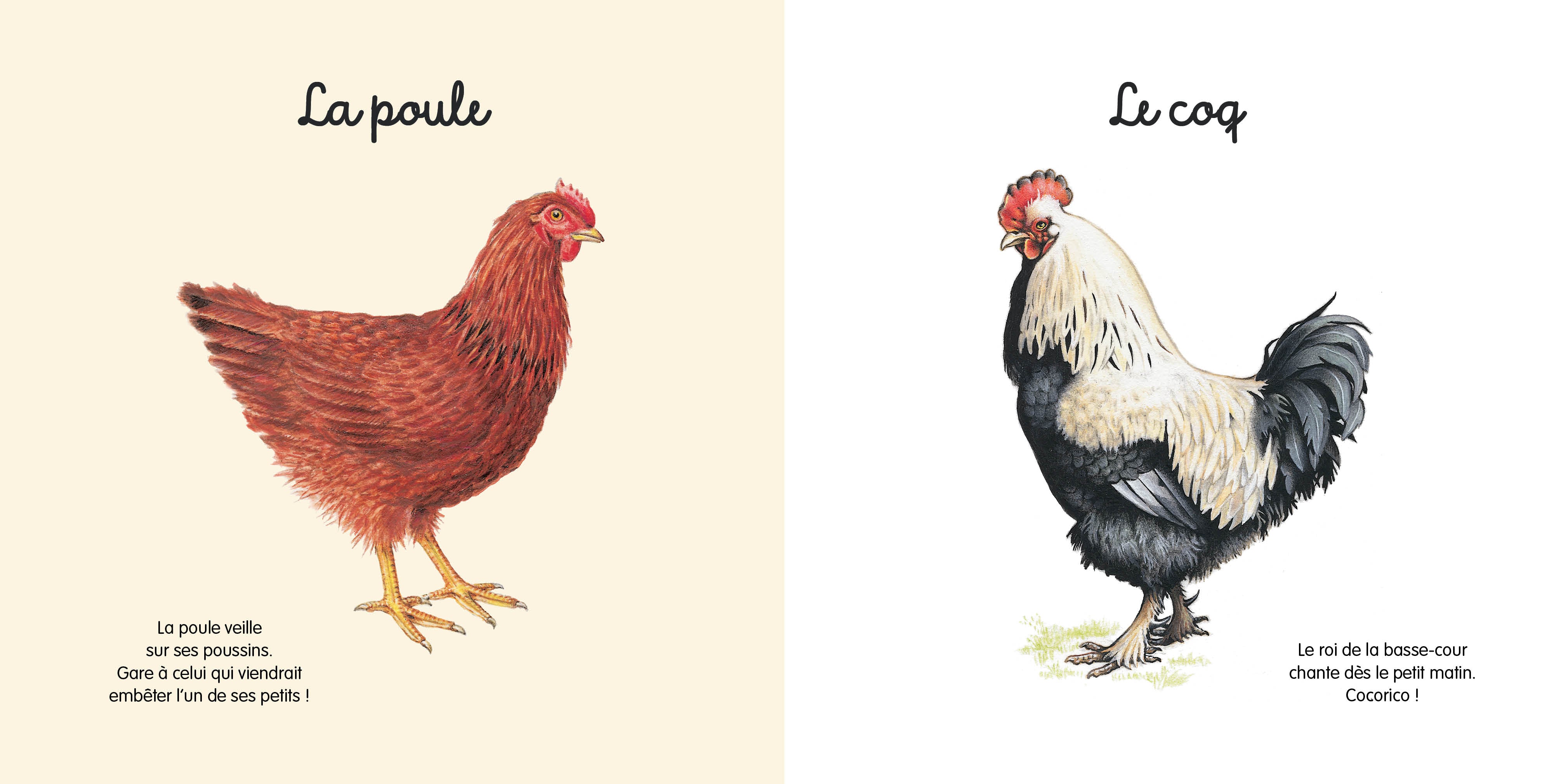 Mes jolis petits docs - La ferme - Image 2