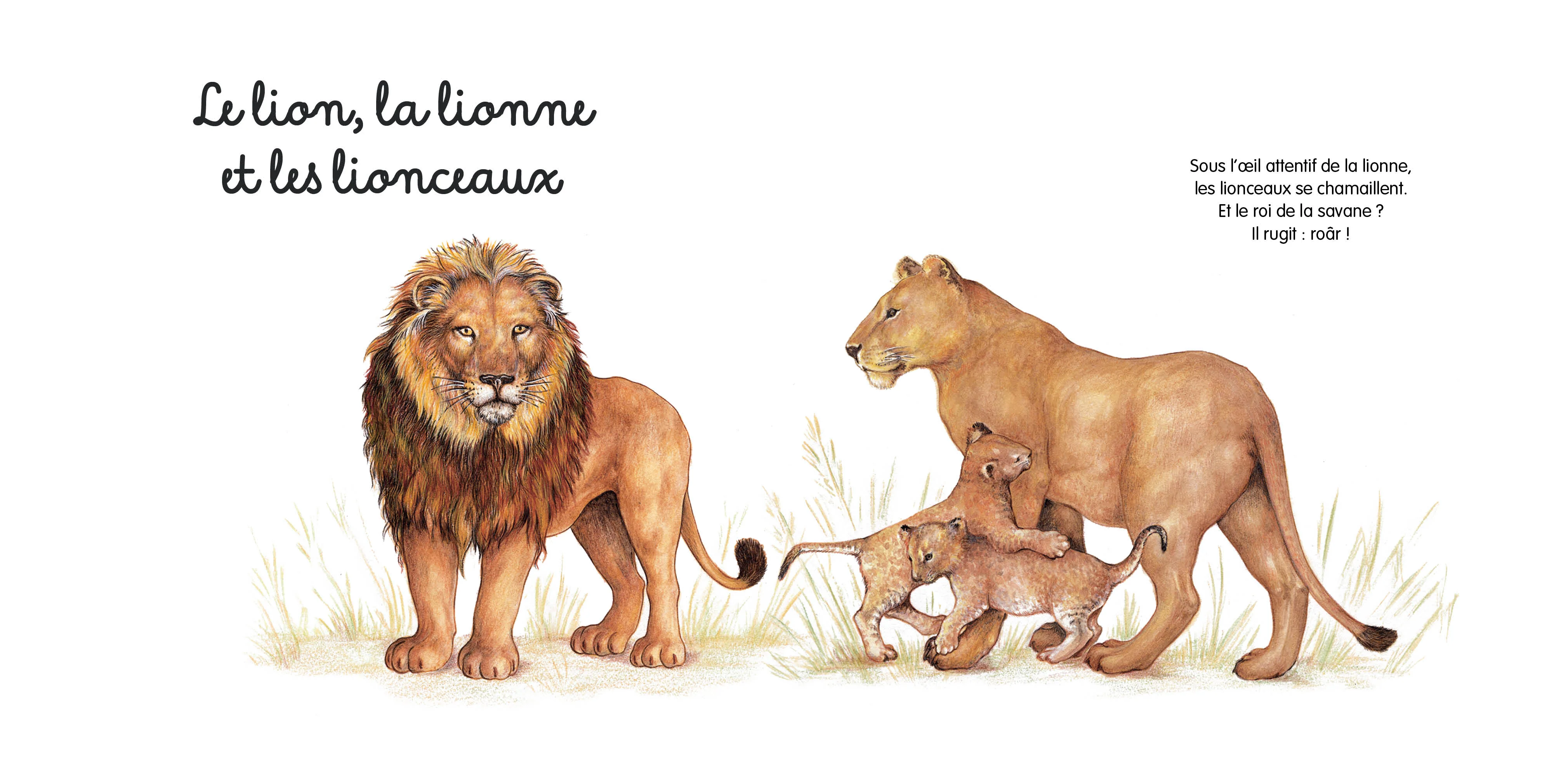 Mes jolis petits docs - La savane - Image 2