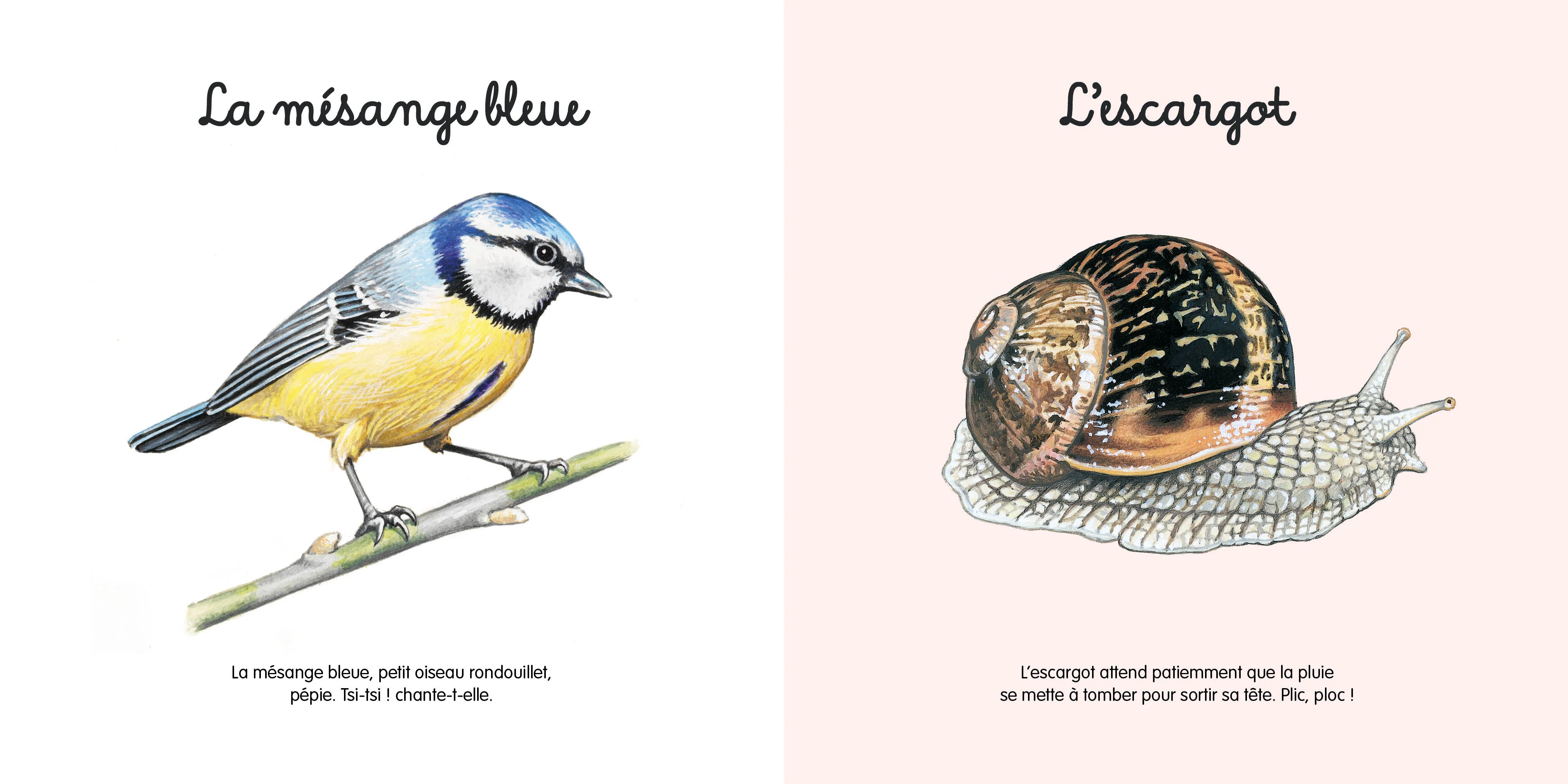Mes jolis petits docs - Le jardin - Image 2