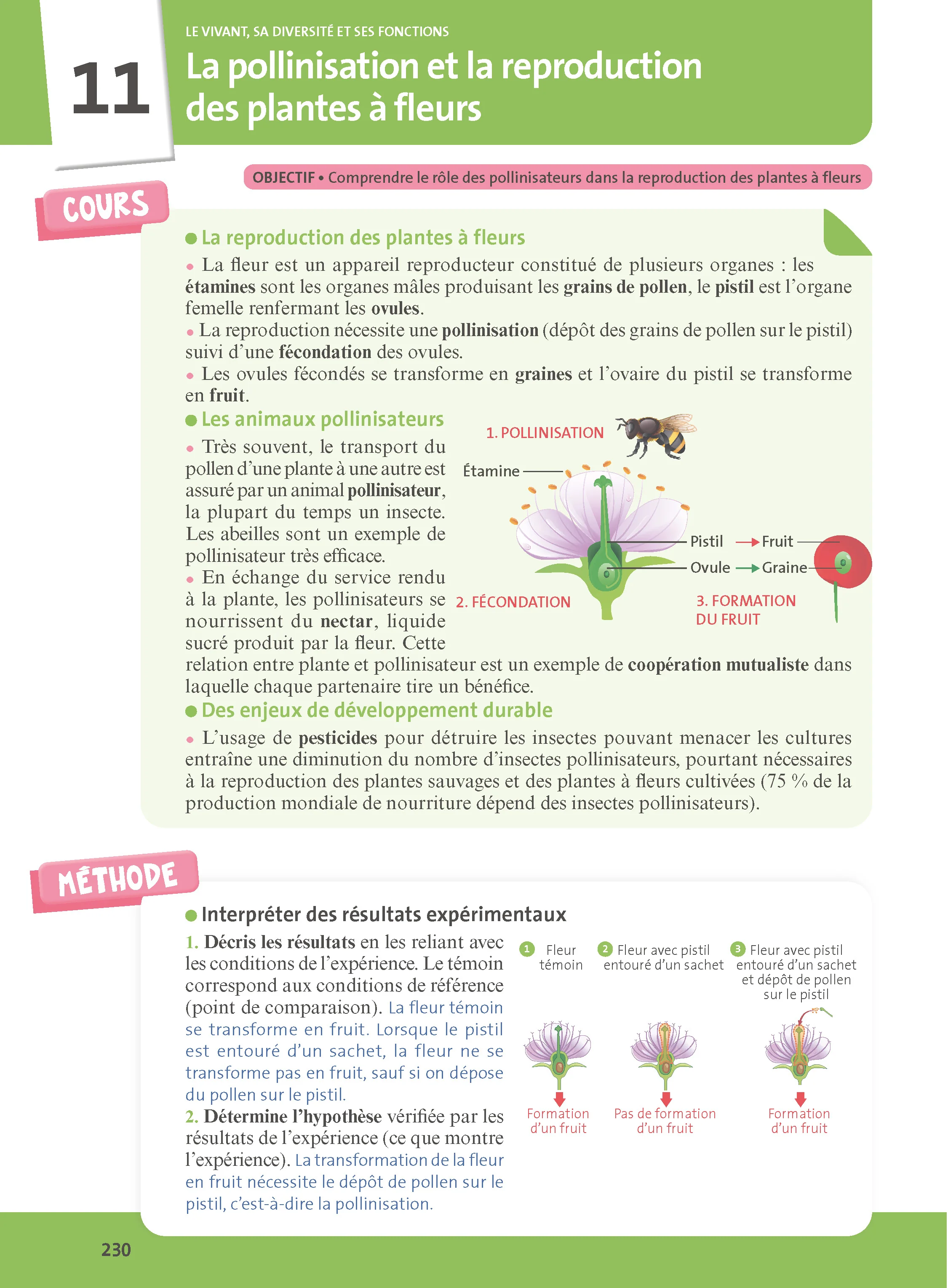 Mon année de 6e - Image 8