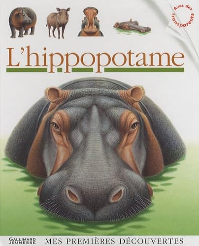 L'hippopotame - Image 2