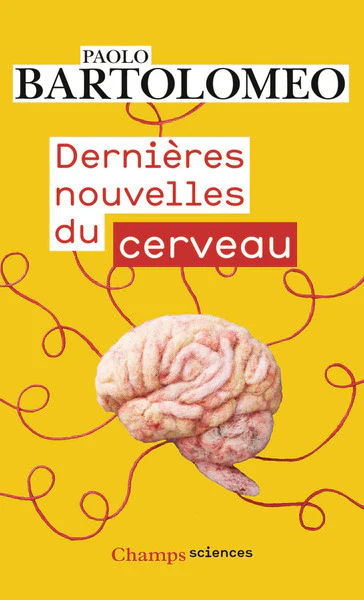 Dernières nouvelles du cerveau - Image 2