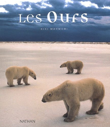 Ours - Image 2