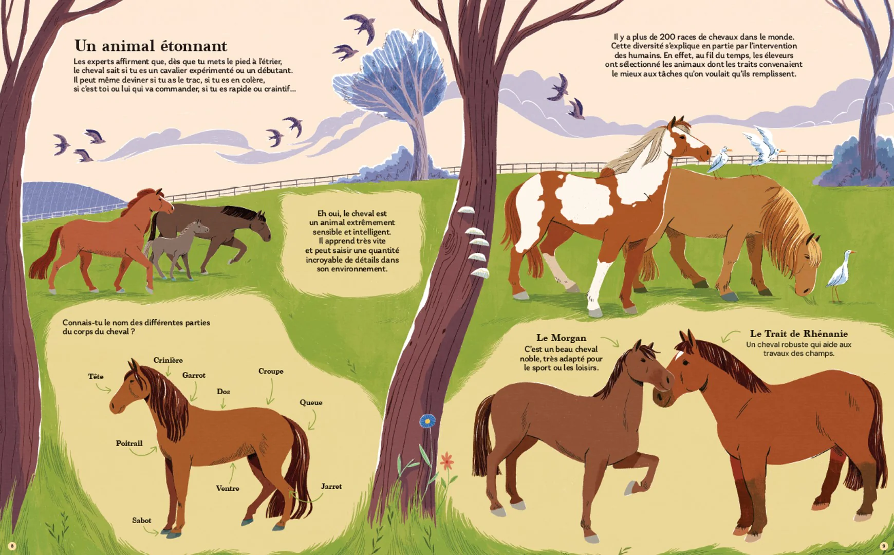 Chevaux - Image 2