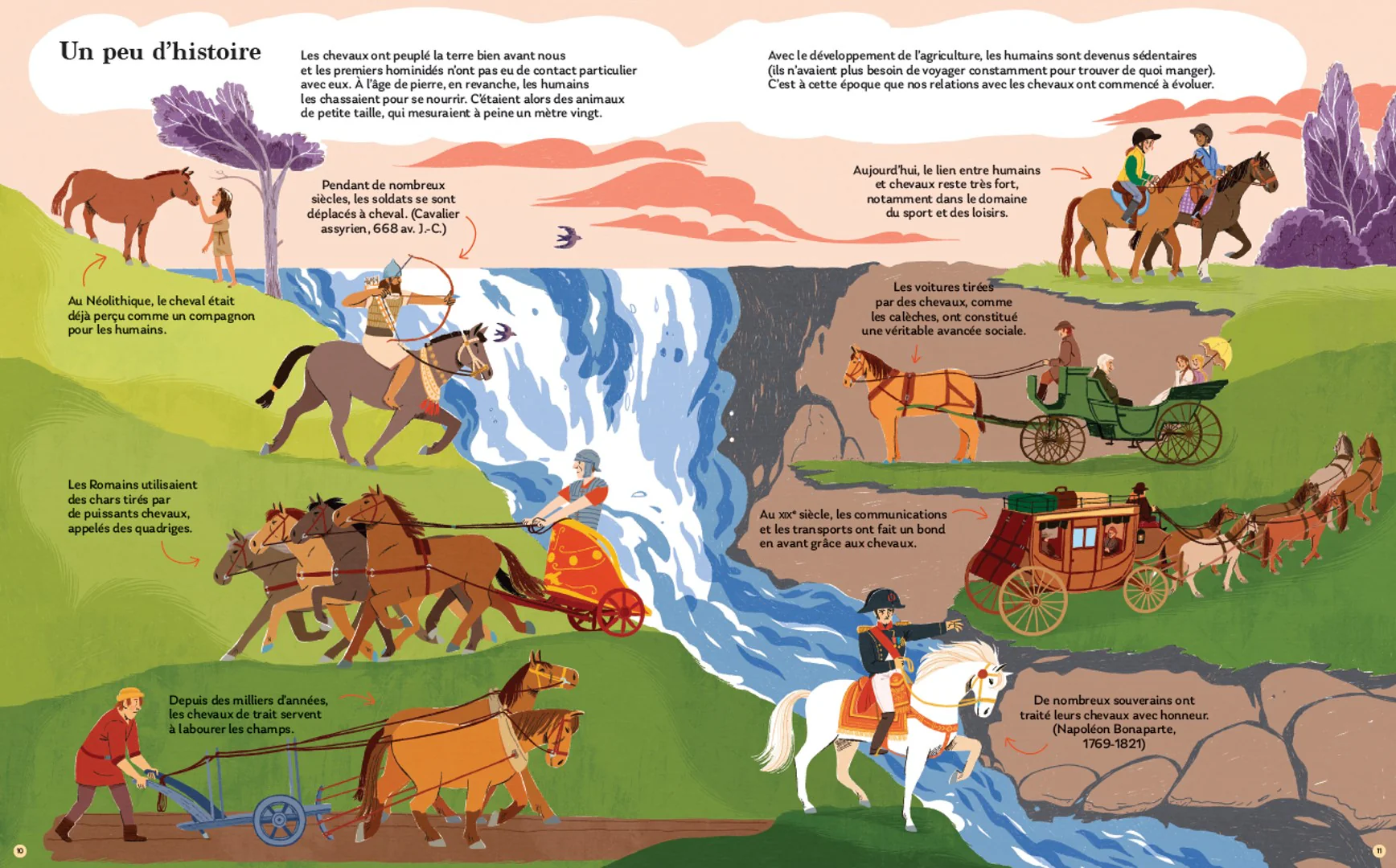 Chevaux - Image 3
