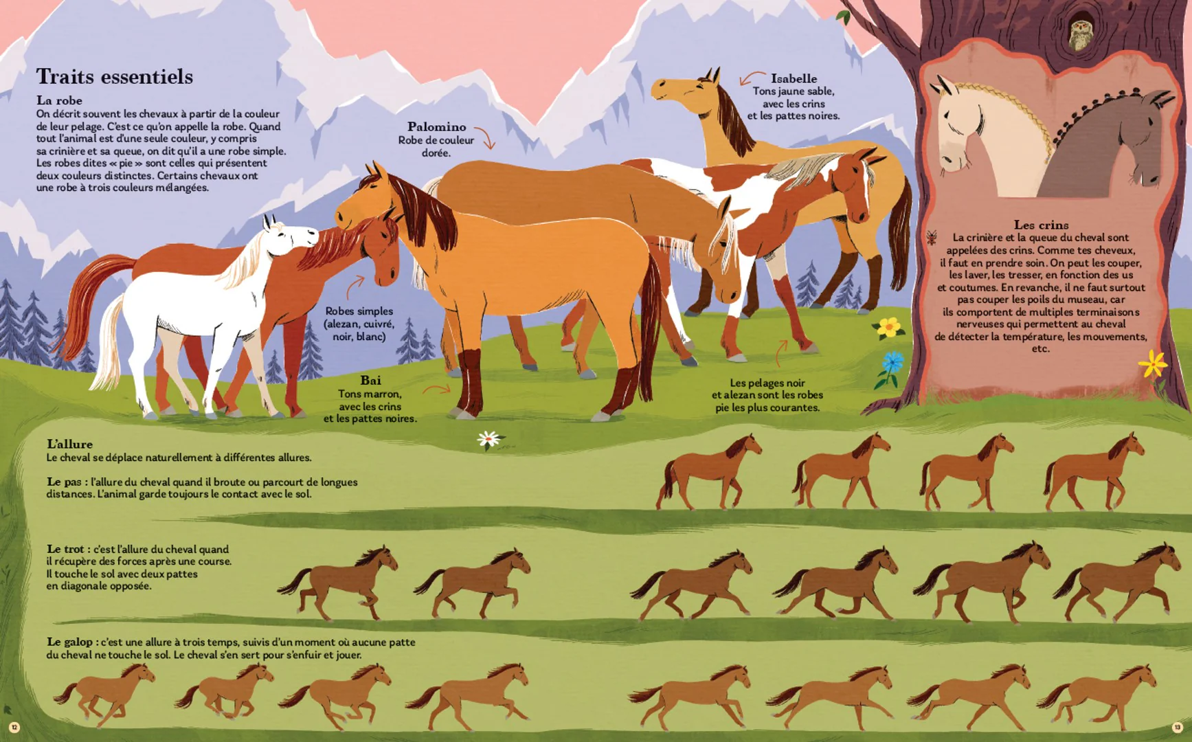 Chevaux - Image 4