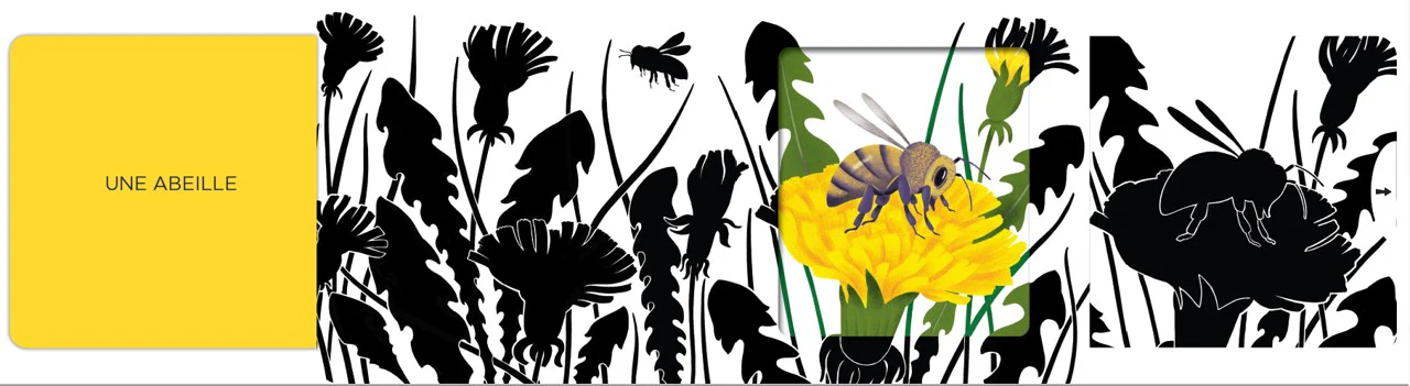 Insectes - Image 2