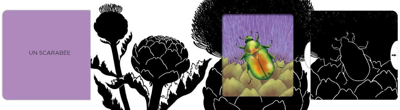Insectes - Image 3