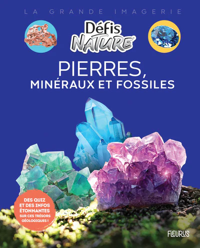 Pierres, minéraux et fossiles - Image 3