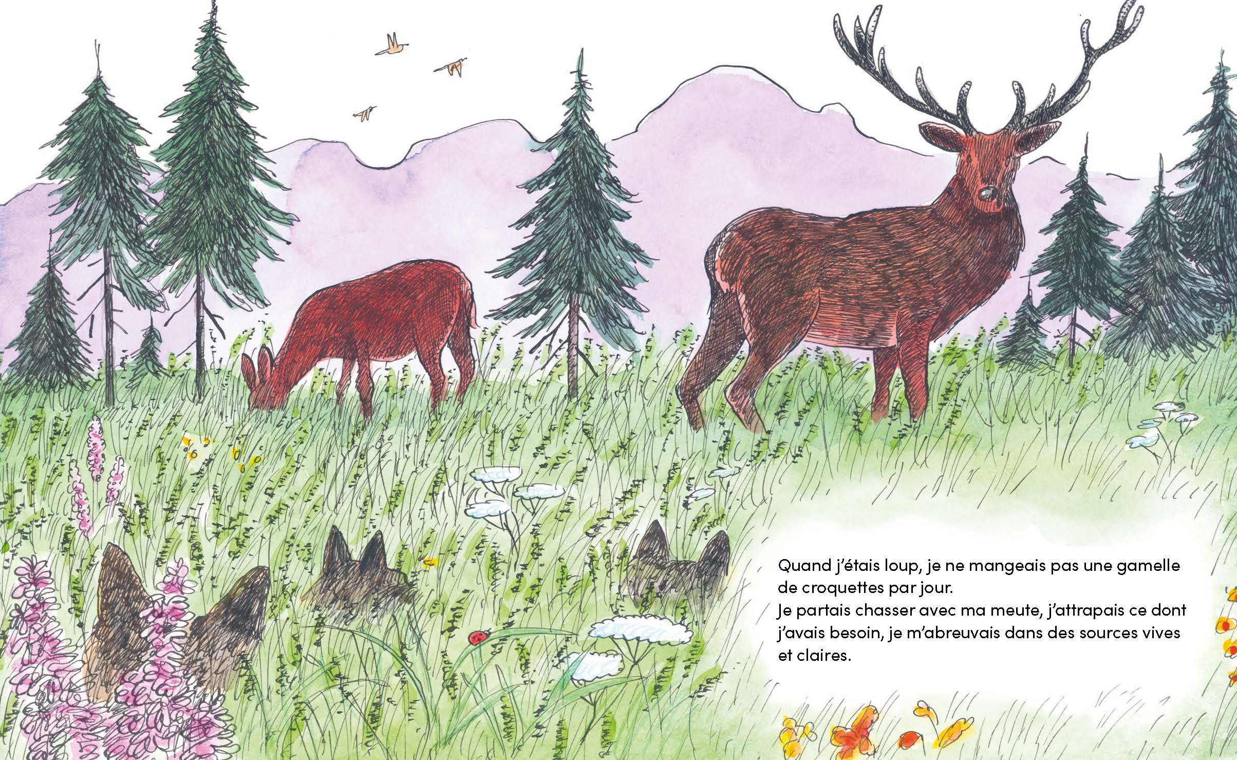 Quand j'étais loup - Image 3