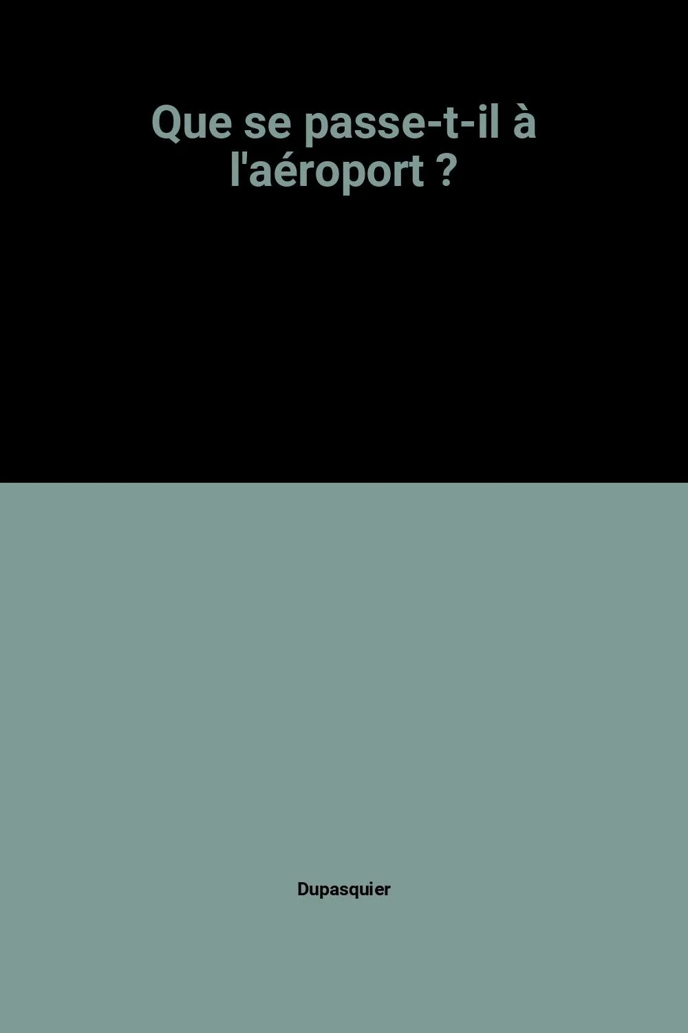 Que se passe-t-il à l'aéroport ? - Image 3