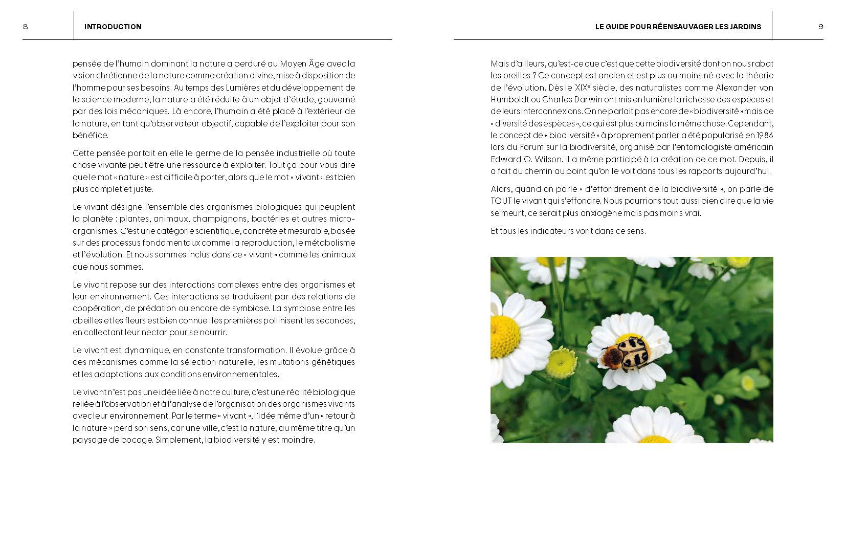 Le Guide pour réensauvager les jardins - Image 5