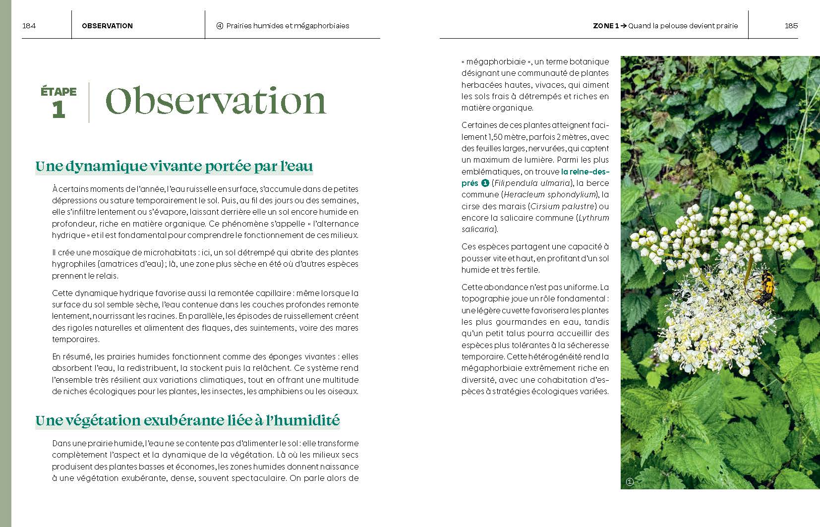 Le Guide pour réensauvager les jardins - Image 7