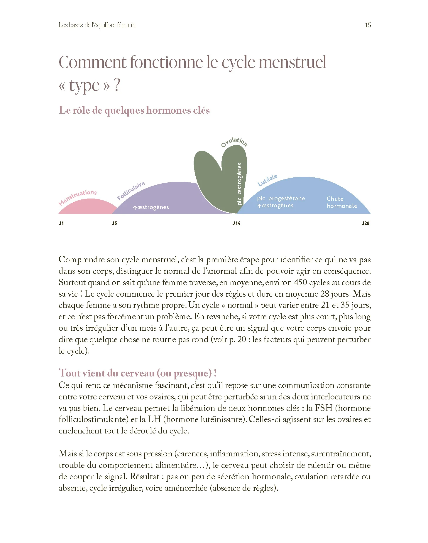 Cuisiner avec son cycle - Image 6