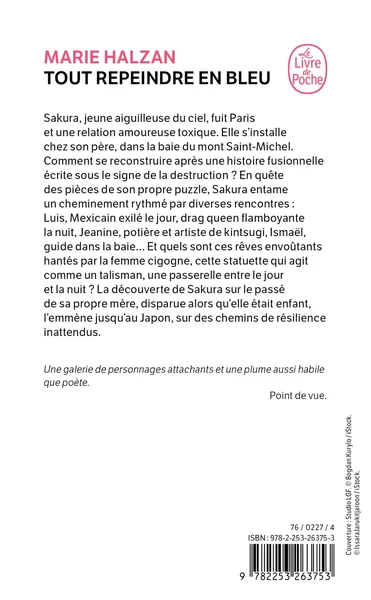 Tout repeindre en bleu - Image 2