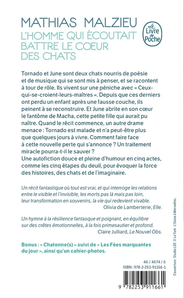 L'homme qui écoutait battre le coeur des chats - Image 4