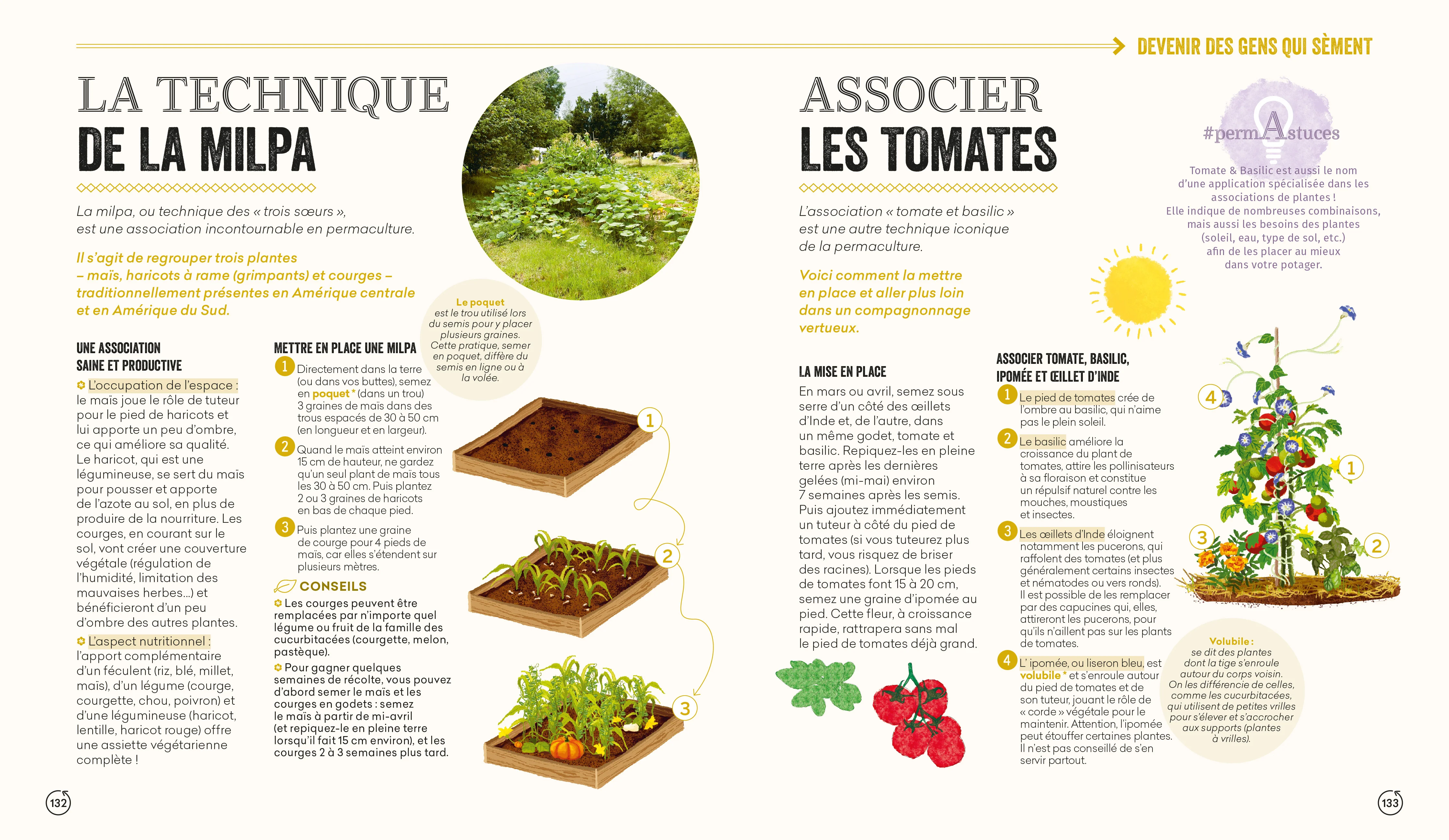 Permaculture - Le manuel pour un jardin vivant & productif - Édition revue et augmentée - Image 3
