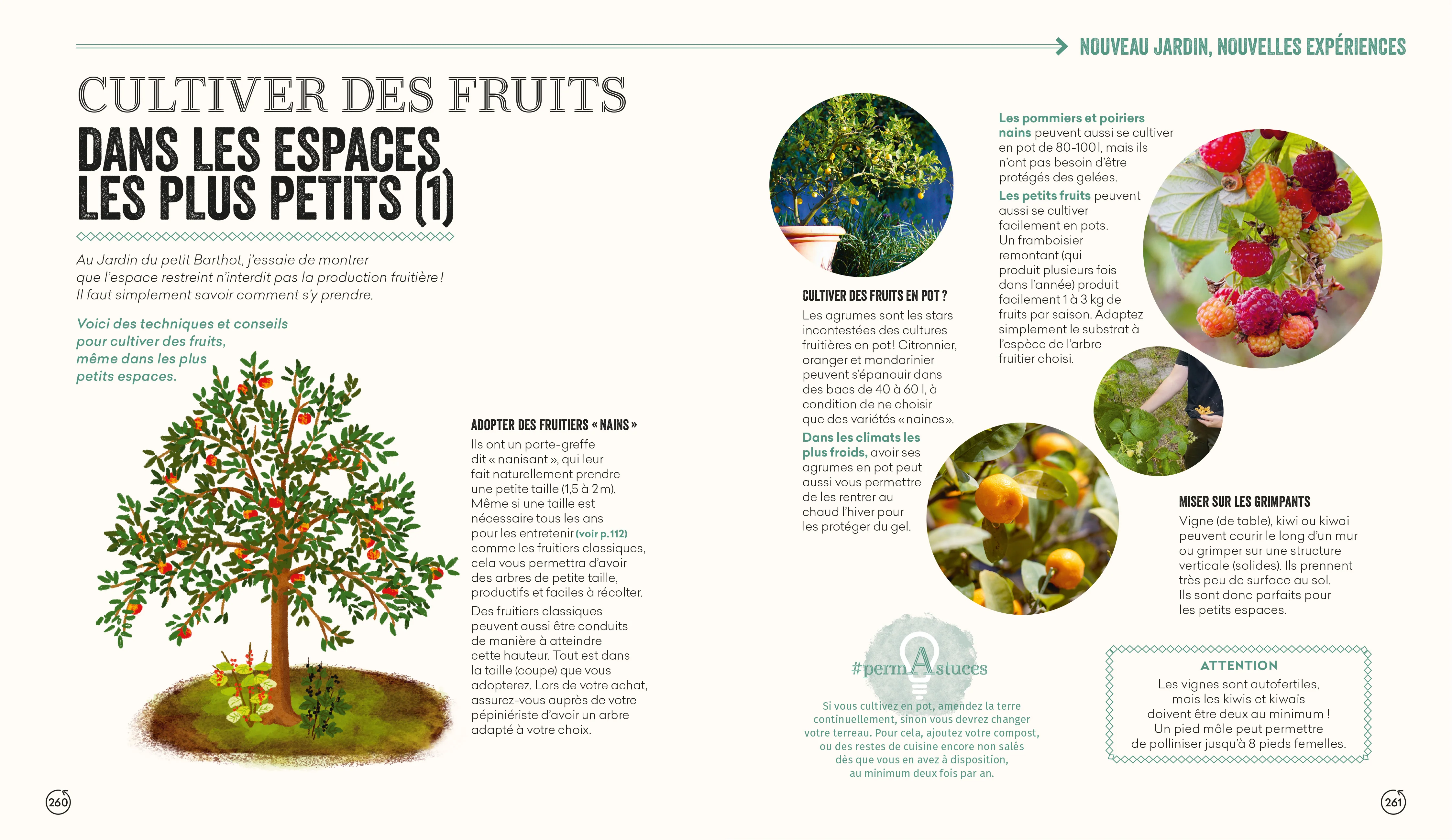 Permaculture - Le manuel pour un jardin vivant & productif - Édition revue et augmentée - Image 5