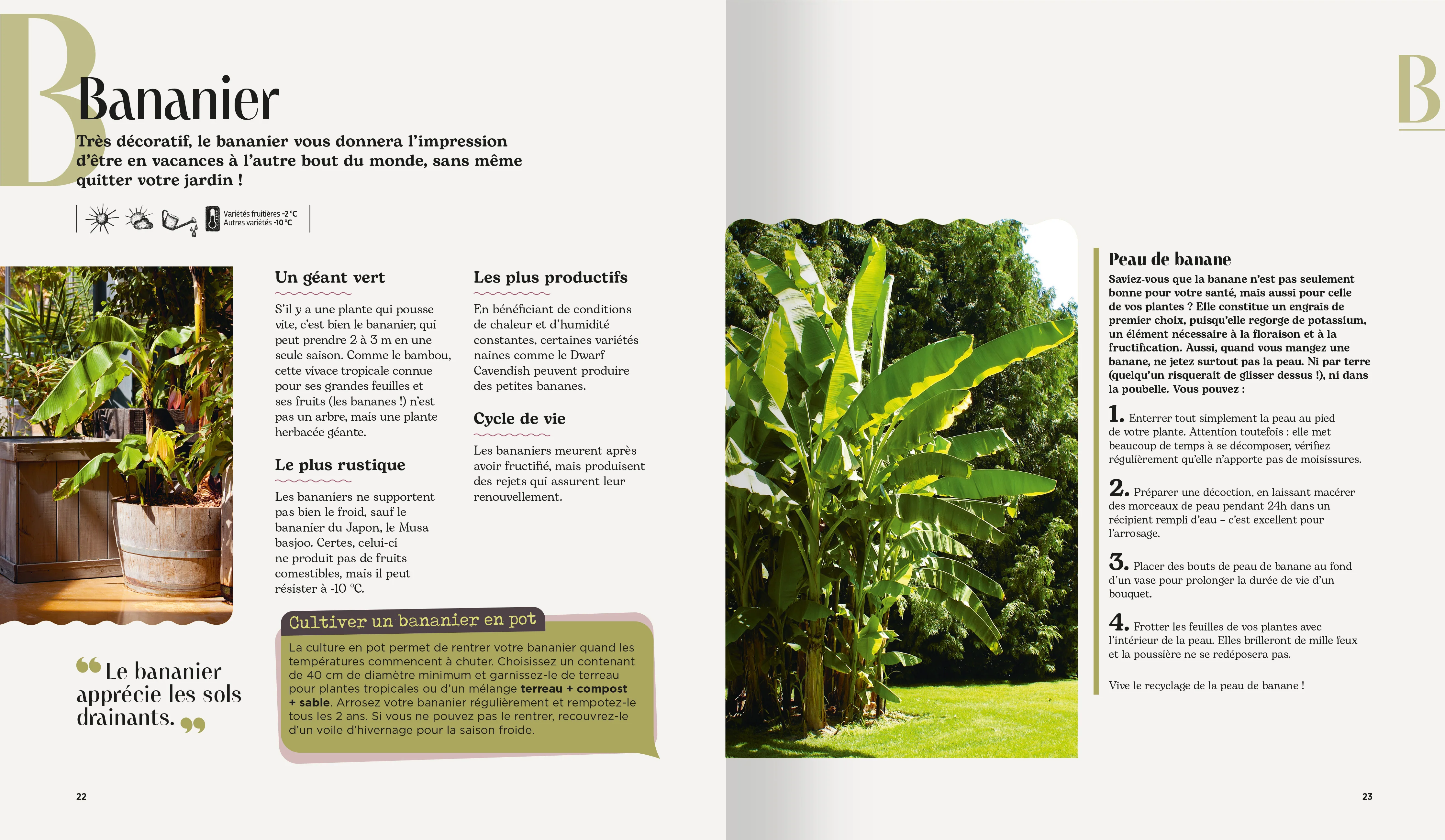 Astuces au jardin - Image 3