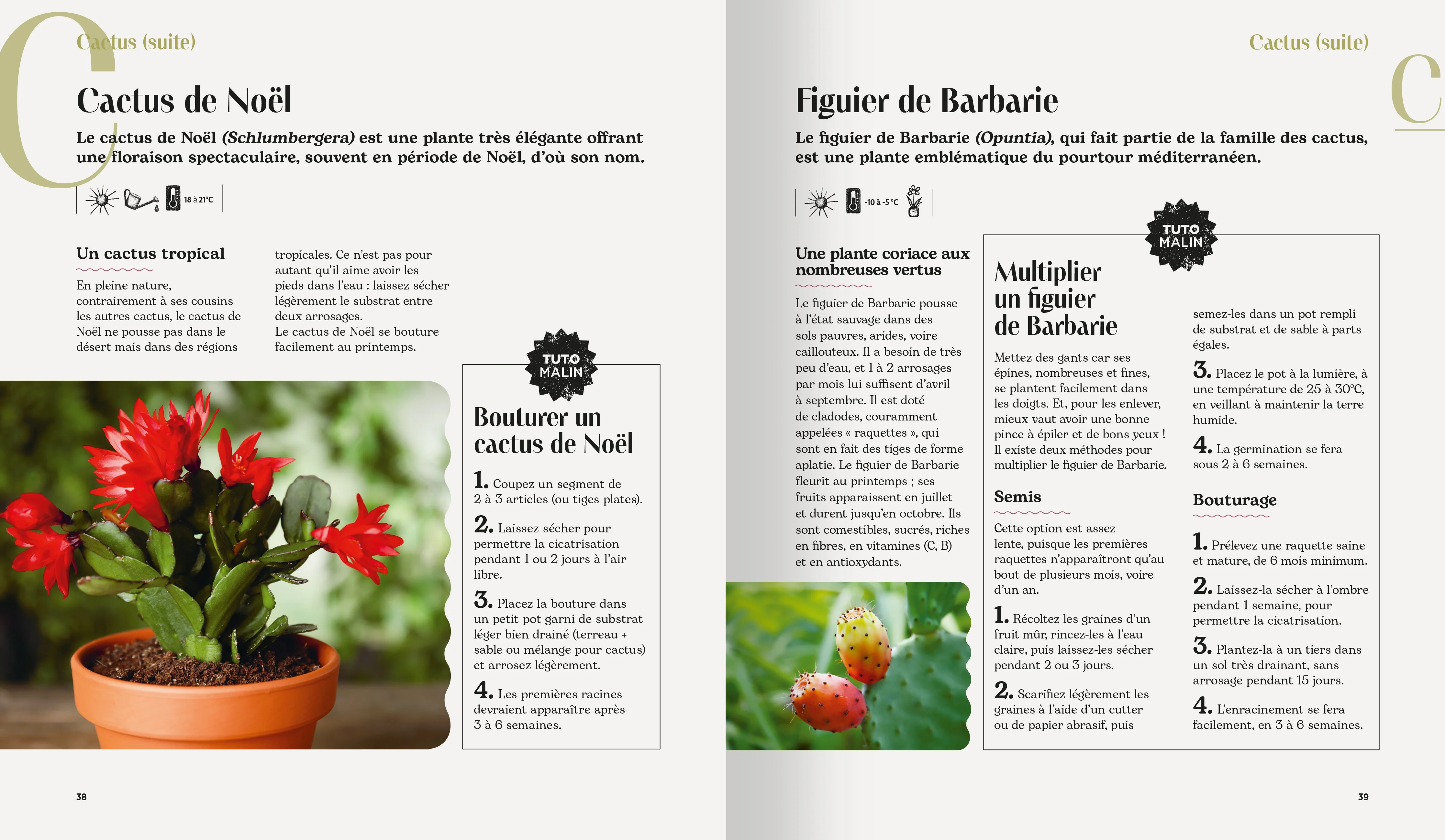 Astuces au jardin - Image 4