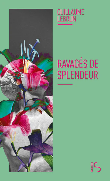 Ravagés de splendeur - Image 2