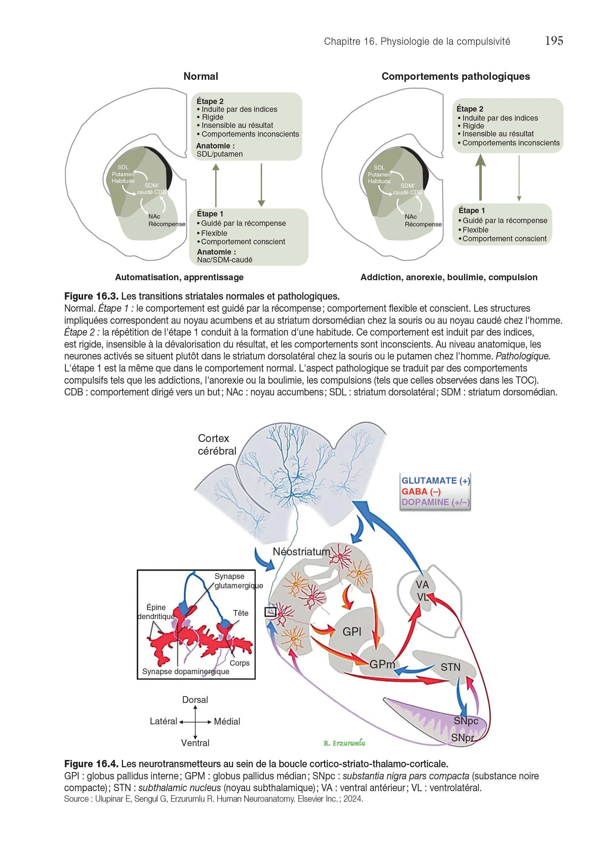 Physiologie des maladies mentales - Image 5