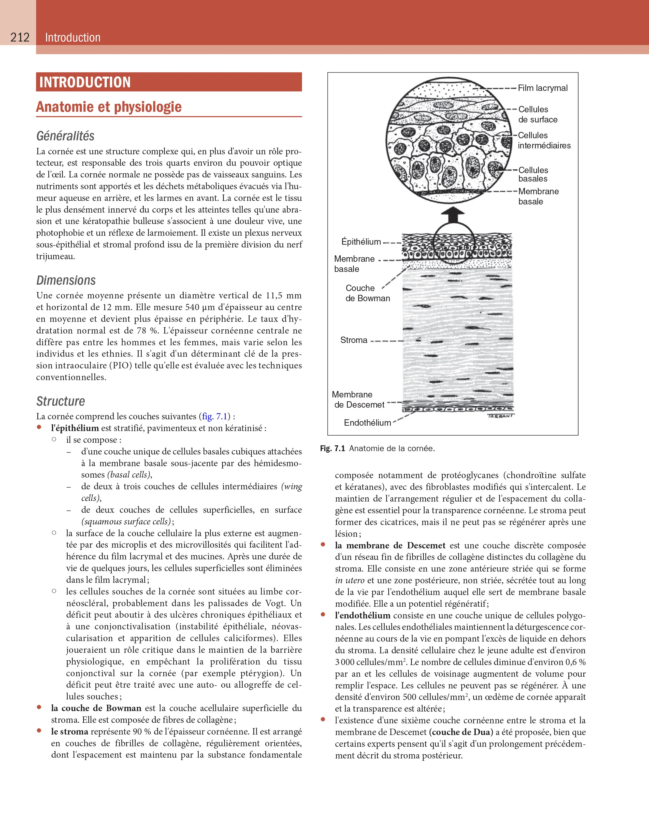 Kanski - Ophtalmologie clinique - Image 4