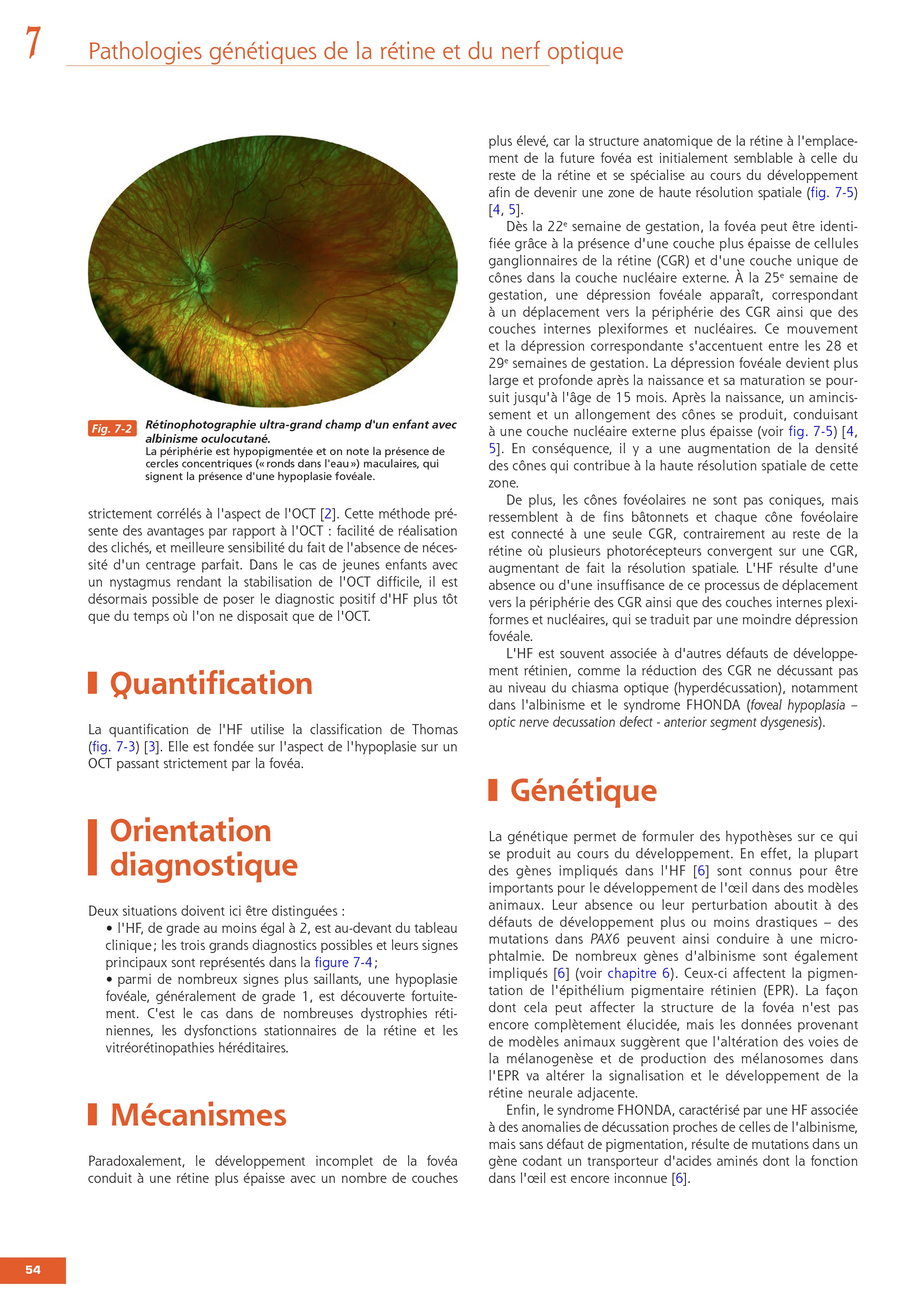 Des gènes aux traitements en ophtalmologie. Rapport SFO 2026 - Image 4